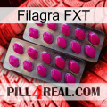 Filagra FXT 10